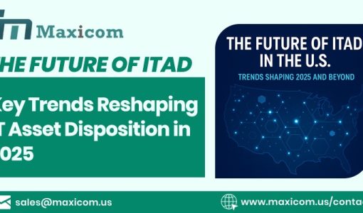 WhatsApp Image 2025 05 30 at 12.42.09